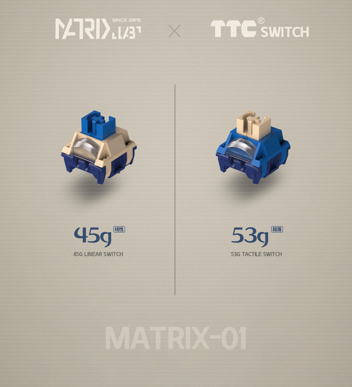 TTC Matrix-01 Switches